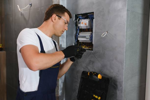 Best Electrician for Home Renovation  in Hometown, IL